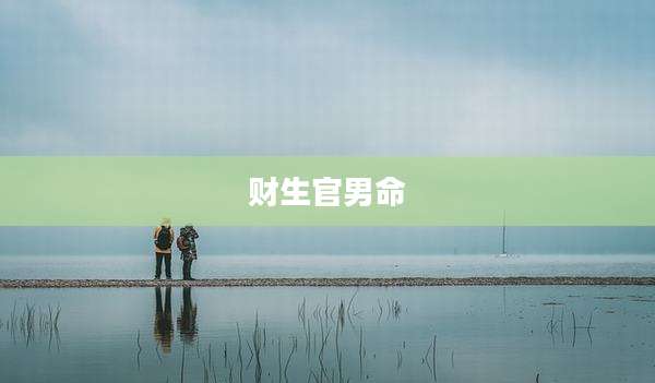 财生官男命