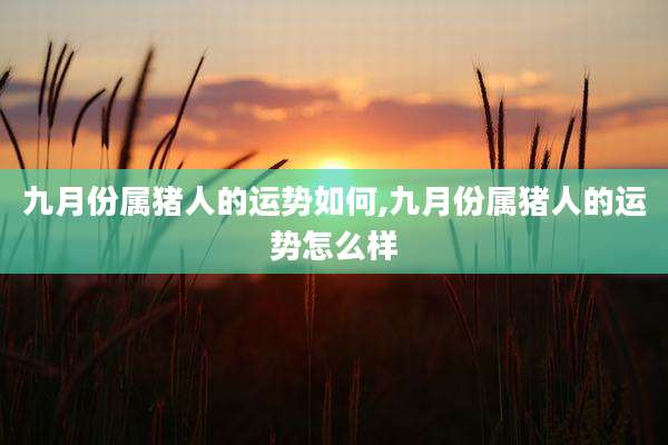 九月份属猪人的运势如何,九月份属猪人的运势怎么样