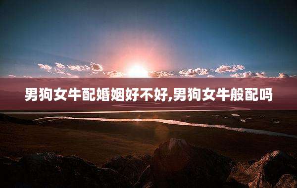 男狗女牛配婚姻好不好,男狗女牛般配吗