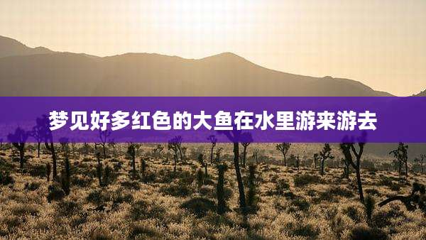 梦见好多红色的大鱼在水里游来游去