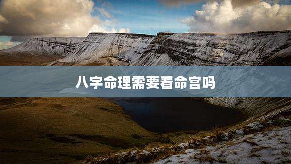 八字命理需要看命宫吗
