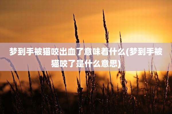 梦到手被猫咬出血了意味着什么(梦到手被猫咬了是什么意思)