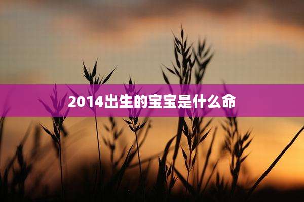 2014出生的宝宝是什么命
