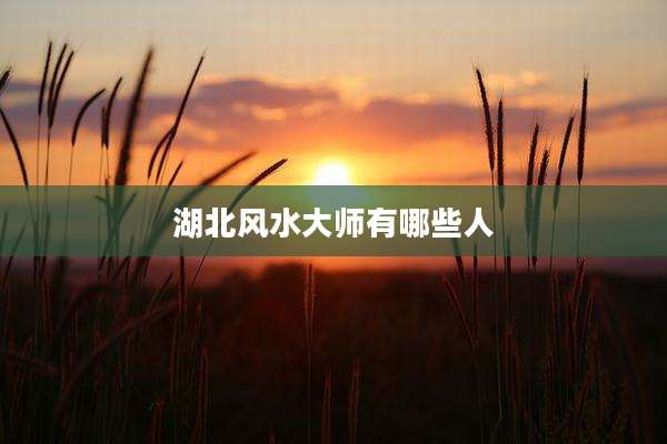 湖北风水大师有哪些人