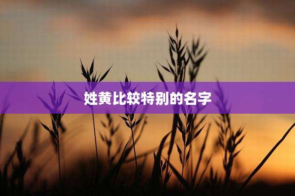 姓黄比较特别的名字
