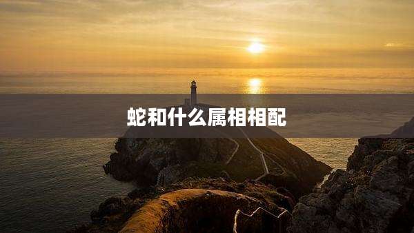 蛇和什么属相相配