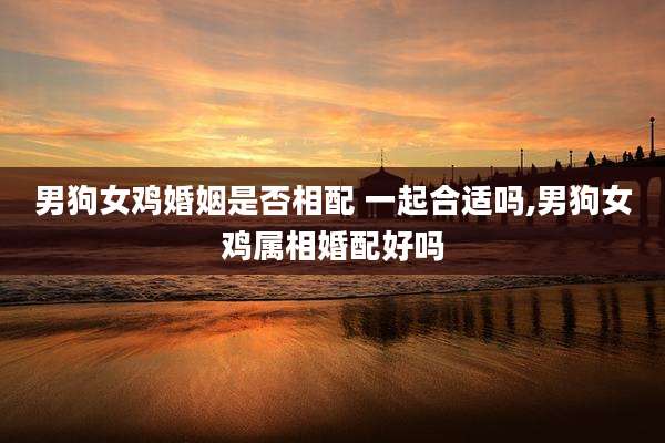 男狗女鸡婚姻是否相配 一起合适吗,男狗女鸡属相婚配好吗