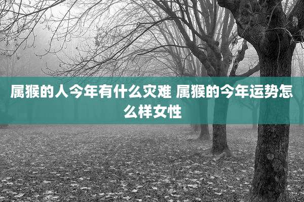属猴的人今年有什么灾难 属猴的今年运势怎么样女性