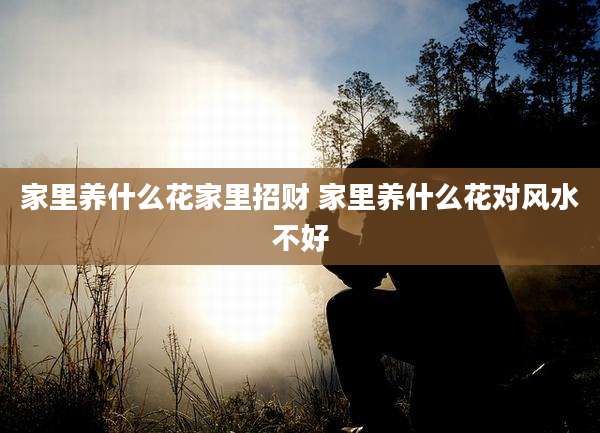 家里养什么花家里招财 家里养什么花对风水不好