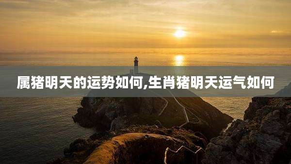 属猪明天的运势如何,生肖猪明天运气如何