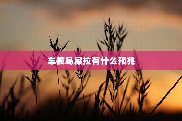 车被鸟屎拉有什么预兆