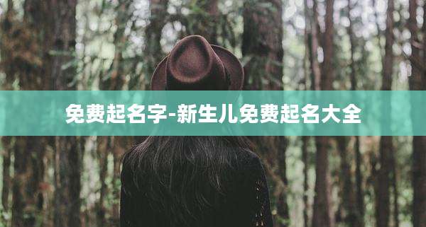 免费起名字-新生儿免费起名大全