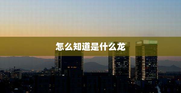 怎么知道是什么龙