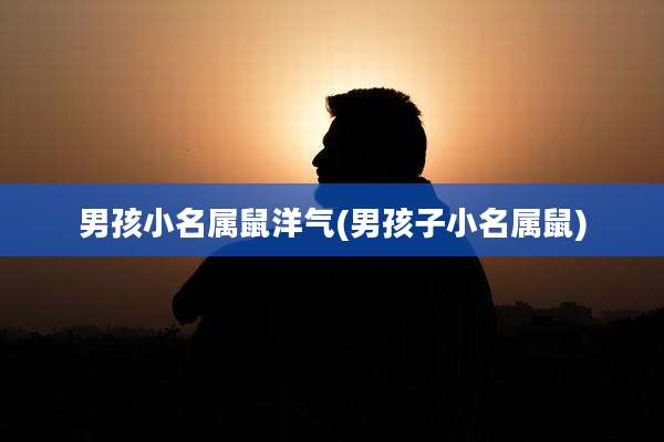 男孩小名属鼠洋气(男孩子小名属鼠)