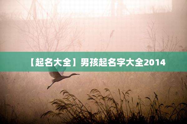 【起名大全】男孩起名字大全2014