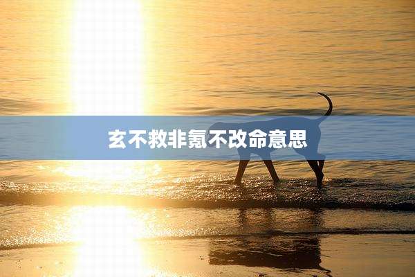 玄不救非氪不改命意思