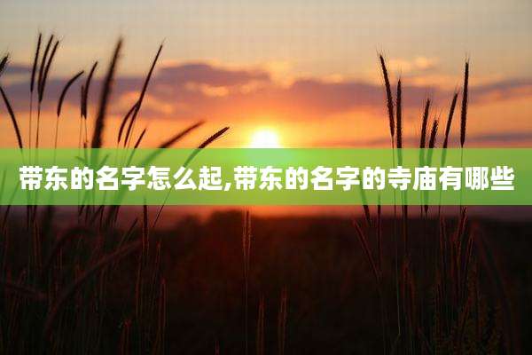 带东的名字怎么起,带东的名字的寺庙有哪些