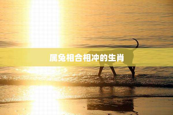 属兔相合相冲的生肖