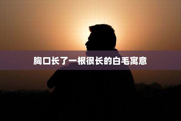 胸口长了一根很长的白毛寓意