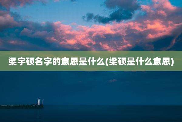 梁宇硕名字的意思是什么(梁硕是什么意思)