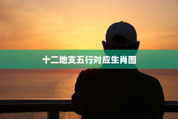 十二地支五行对应生肖图