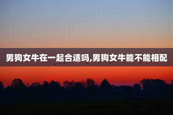 男狗女牛在一起合适吗,男狗女牛能不能相配