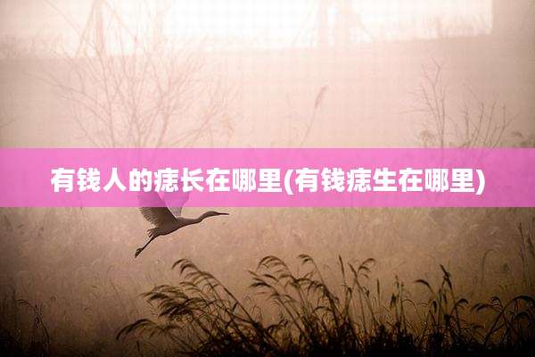 有钱人的痣长在哪里(有钱痣生在哪里)
