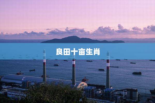 良田十亩生肖