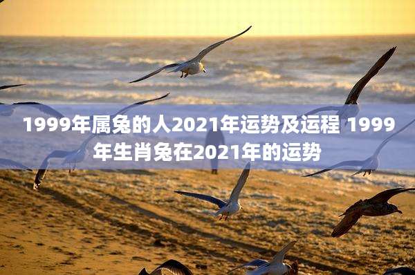 1999年属兔的人2021年运势及运程 1999年生肖兔在2021年的运势