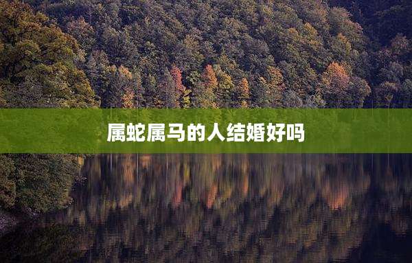 属蛇属马的人结婚好吗
