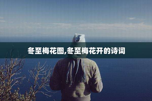 冬至梅花图,冬至梅花开的诗词