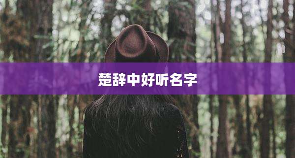 楚辞中好听名字