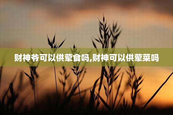 财神爷可以供荤食吗,财神可以供荤菜吗