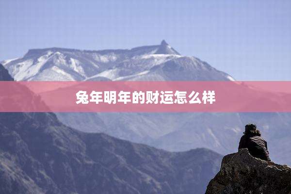 兔年明年的财运怎么样