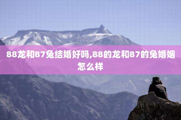 88龙和87兔结婚好吗,88的龙和87的兔婚姻怎么样