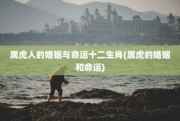 属虎人的婚姻与命运十二生肖(属虎的婚姻和命运)