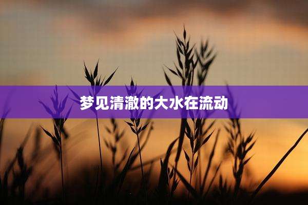 梦见清澈的大水在流动