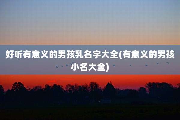好听有意义的男孩乳名字大全(有意义的男孩小名大全)