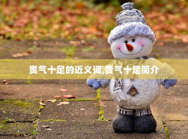 贵气十足的近义词,贵气十足简介