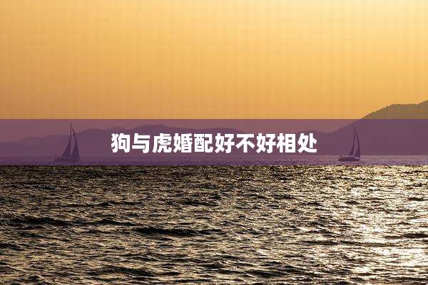 狗与虎婚配好不好相处