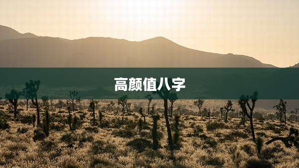 高颜值八字
