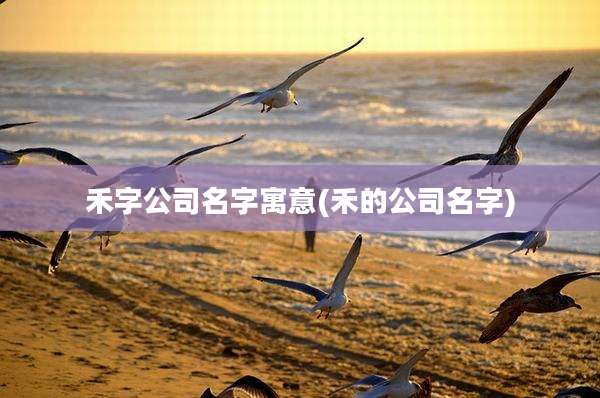 禾字公司名字寓意(禾的公司名字)