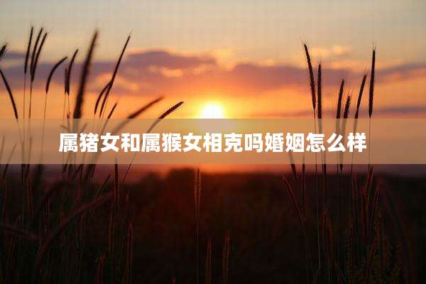 属猪女和属猴女相克吗婚姻怎么样