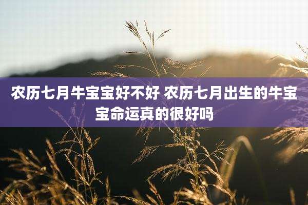 农历七月牛宝宝好不好 农历七月出生的牛宝宝命运真的很好吗