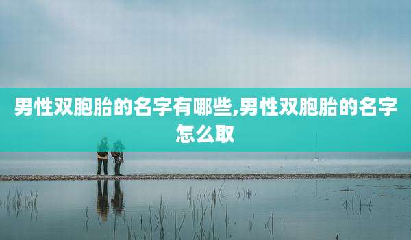 男性双胞胎的名字有哪些,男性双胞胎的名字怎么取