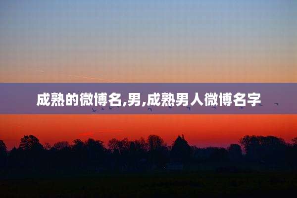 成熟的微博名,男,成熟男人微博名字