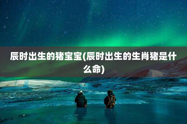 辰时出生的猪宝宝(辰时出生的生肖猪是什么命)