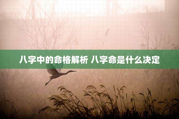 八字中的命格解析 八字命是什么决定