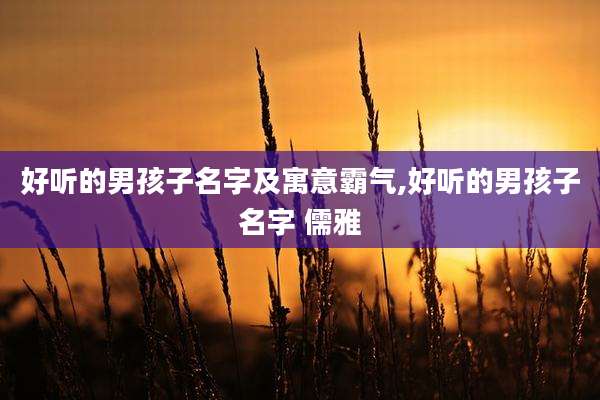 好听的男孩子名字及寓意霸气,好听的男孩子名字 儒雅