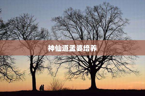 神仙道孟婆培养
